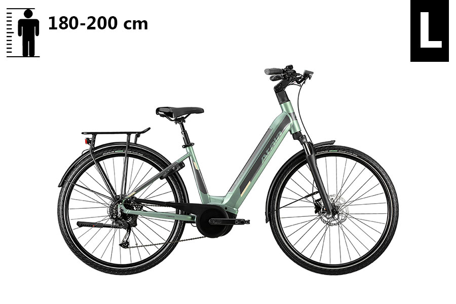 E-City Bike • size L: 180-200cm